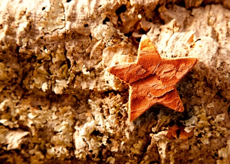 bark star shape christmas symbol on cork backgroundの写真素材