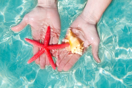 Hands holding starfish and seashell in ripple clean sea tropical waterの写真素材