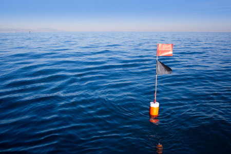 Longliner and trammel net buoy with flag pole in blue seaの写真素材