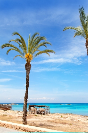 Els Pujols formentera beach with turquoise water and palm trees in balearic islandsのeditorial素材