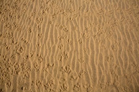Desert dunes sand texture in Maspalomas Gran Canaria at Canary islands