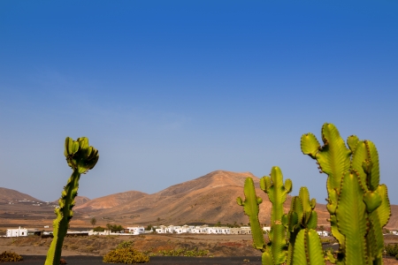 Lanzarote Yaiza white village with cactus and mountains in Canary Islandsの写真素材