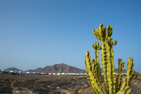 Ajaches mountain in Playa Blanca Lanzarote white housesの写真素材