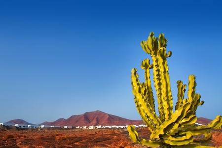 Ajaches mountain in Playa Blanca Lanzarote white housesの写真素材