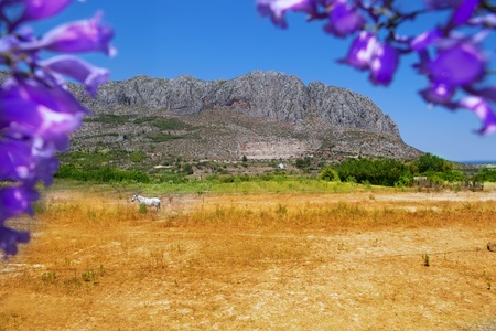 Beniarbeig view of Segaria mountain in Alicante at Spainの写真素材