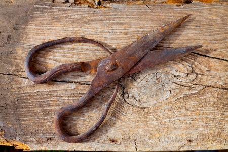 Antique sheep wool shears scissors vintage rusted on retro woodの写真素材