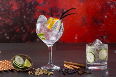 Gin tonic cocktail with spices lima cucumber vanilla cloves cardamom cinnamon and juniper berries in redの写真素材