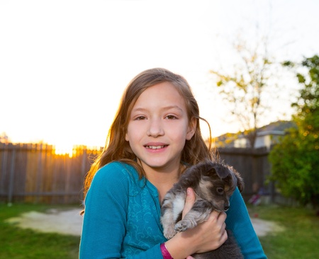Children kid girl playing with puppy dog hairy chihuahua in backyard sunsetの写真素材