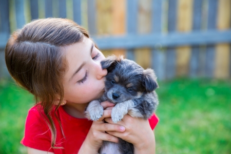 children girl kissing her puppy chihuahua doggy on the wood fenceの写真素材