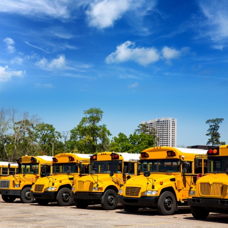 American typical school buses in a row in a parking lotの写真素材
