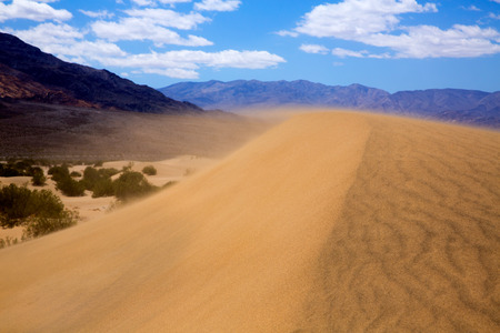 Mesquite Dunes desert in Death Valley wind sand storm detail on dune tip