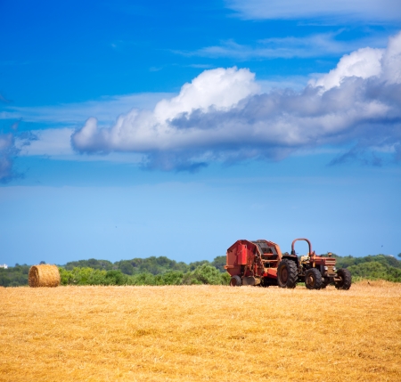 Menorca combine tractor wheat with round bales in golden fieldの写真素材