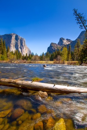 Yosemite Merced River el Capitan and Half Dome in California National Parks USの写真素材