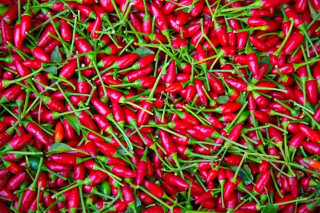 Little red chili peppers pattern texture backgroundの写真素材