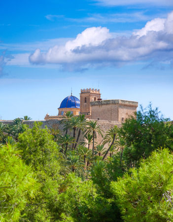 Elche Elx Alicante el Palmeral Palm trees park and Altamira Palace