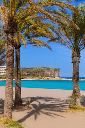 Javea playa del Arenal beach in Mediterranean Alicante at Xabia Spain palm treesの写真素材