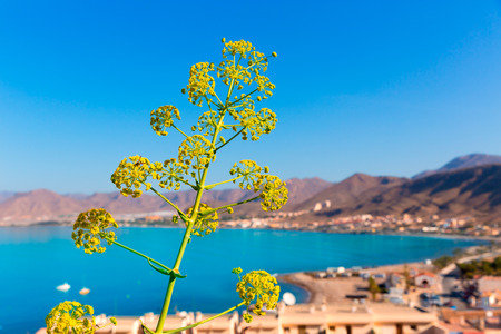 La Azohia beach Murcia in Mediterranean sea Spainの写真素材