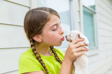 Girl playing kissing puppy chihuahua pet dog outdoorの写真素材