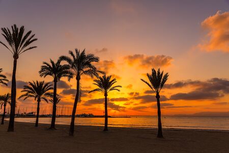 Majorca El Arenal sArenal beach sunset near Palma de Mallorca in Balearic Islands spainの写真素材