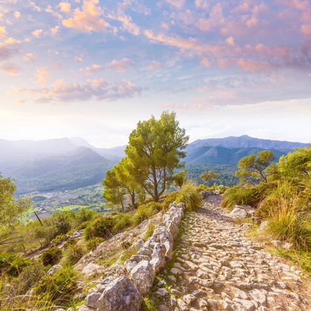 Majorca Puig de Maria Pollenca track Pollensa in Mallorca balearic island of spainの写真素材