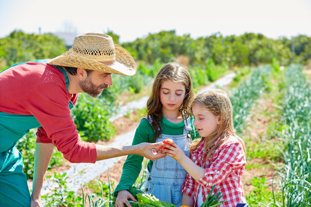 Farmer man showing vegetables harvest to kid girls in orchardの写真素材