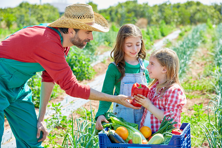 Farmer man showing vegetables harvest to kid girls in orchardの写真素材