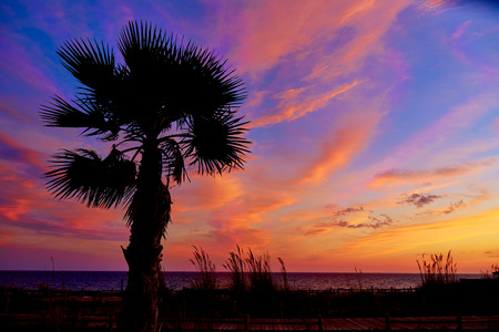 Almeria Cabo de Gata sunset pam trees in Retamar beach at Spain
