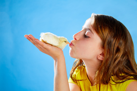 Kid girl kissing yellow chick playing on table with blue backgroundの写真素材