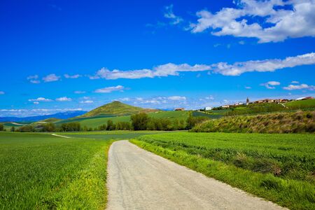 Cereal fields by The Way of Saint James in Castilla near Burgosの写真素材
