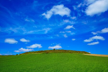Cereal fields by The Way of Saint James in Castilla near Burgosの写真素材