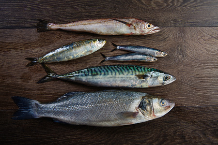 Fresh fishes mix hake seabass sardine mackerel anchoviesの写真素材