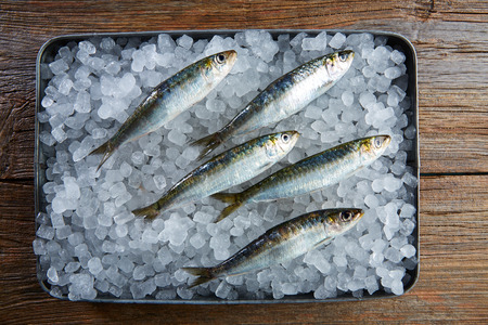 Sardines fresh fishes on ice tray and wooden tableの写真素材