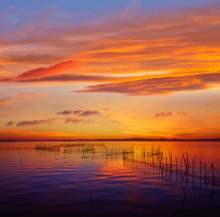 La Albufera lake sunset in El Saler of Valencia at Spainの写真素材