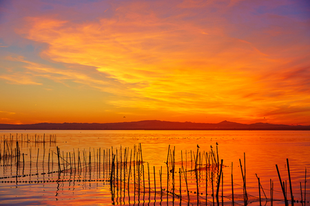 La Albufera lake sunset in El Saler of Valencia at Spainの写真素材