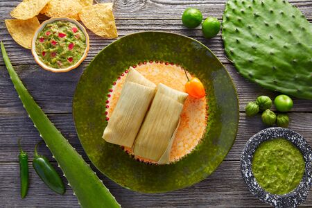 Mexican Tamale tamales of corn leaves with chili and saucesの写真素材
