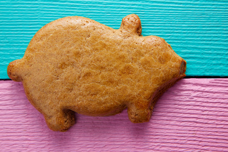 Mexican puerquito piggy shape pastry from Mexico