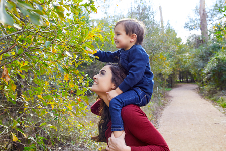 kid boy sitting on mother shoulders picking leaves from a tree in the parkの写真素材