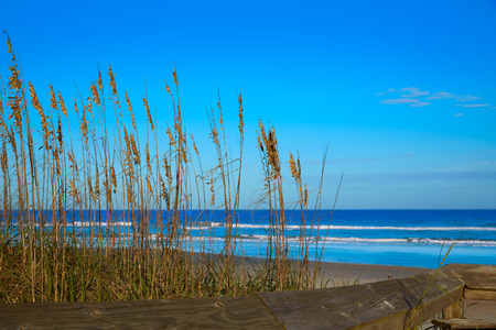 Atlantic Beach in Jacksonville East of Florida USA USの写真素材