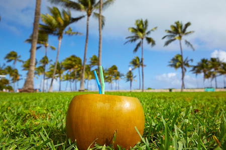 Miami South Beach coconut drink with 2 straws in Floridaの写真素材