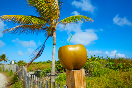 Miami South Beach coconut drink with 2 straws in Florida