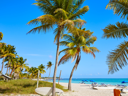 Key west florida Smathers beach palm trees in USAの写真素材