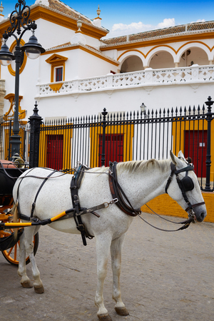 Seville Real Maestranza bullring plaza toros de Sevilla in andalusia Spainの写真素材