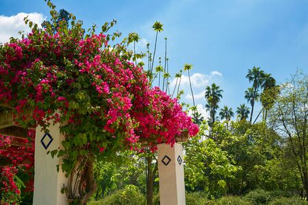 seville maria luisa park gardens in andalucia spain