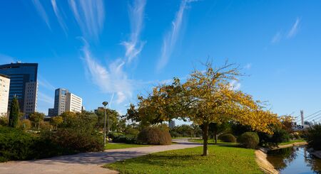 Valencia modern town skyline from the park view in Spain Mediterraneanの写真素材