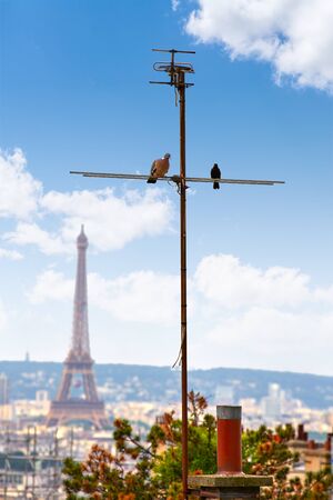 Paris skyline aerial from Montmartre in France