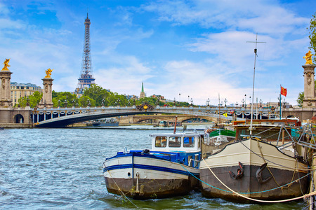Pont Alexandre III in Paris France over Seine riverの写真素材