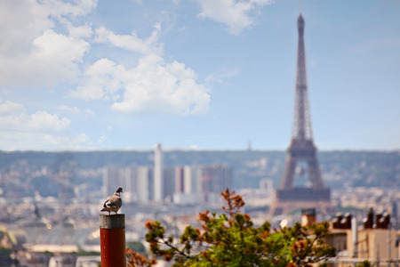 Paris skyline aerial from Montmartre in Franceの写真素材
