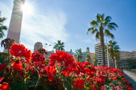 Valencia Puente de las Flores flowers bridge in Spainの写真素材