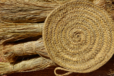 Esparto halfah grass used for crafts as cords basketry and espadrillesの写真素材