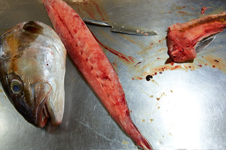 Amberjack fish head fillet process in stainless steel kitchenの写真素材